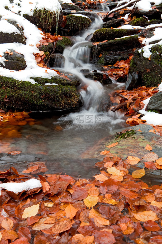 白雪皑的瀑布流的秋叶图片