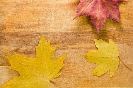 秋叶在木制背景背景图片