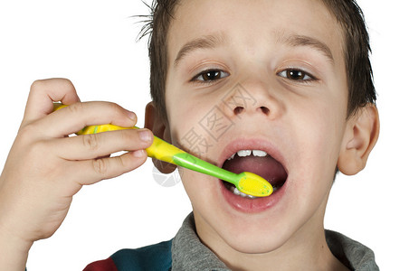 男孩刷牙白色隔离图片