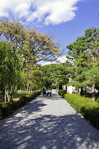 日本京都尼乔城堡图片