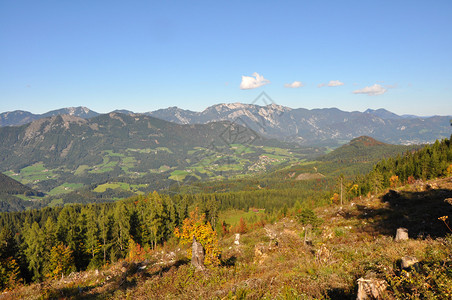 在美丽的高山奥地利风景的全景图片