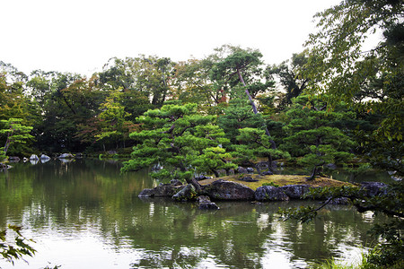 日本花园中的池塘和石头茶灯图片
