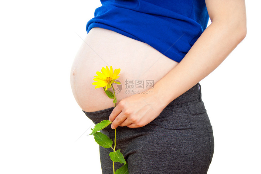孕妇的肚子和花图片
