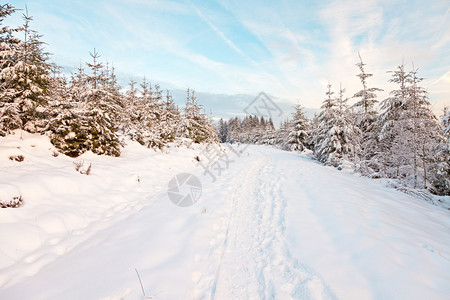 美丽的冬季风景雪图片