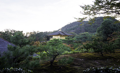 日本京都金阁寺金阁寺图片