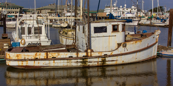 加利福尼亚州莫斯兰丁港的船只图片
