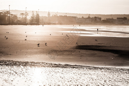 美丽的海滩在摩洛哥阿加迪尔拍摄的图片人类发展图片