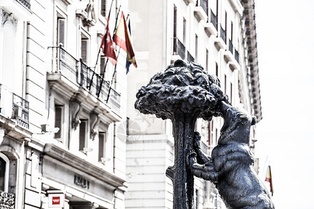 西班牙PuertadelSol人类发展报告图象马德里纪念物熊图片