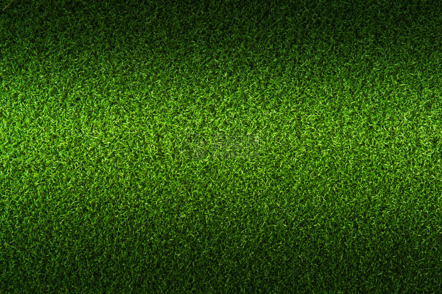 绿草背景图片