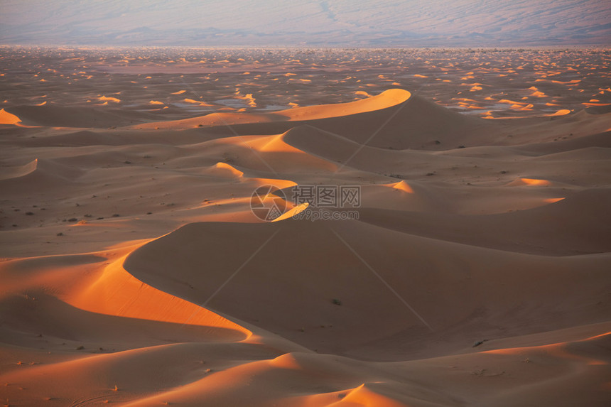 撒哈拉沙漠图片