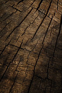 木制汞合金图片