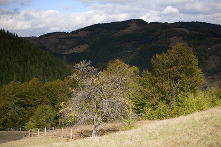 在山的五颜六色的秋天风景图片