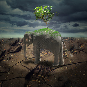 用大象和一棵树生态概念的抽象阴郁景观图片