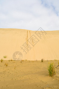 沙丘和草地的广角视图片
