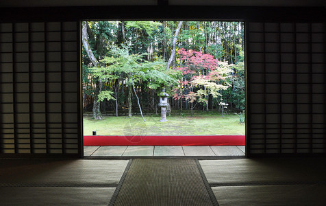 日本花园在日本京都大会寺二的Kotoin背景图片