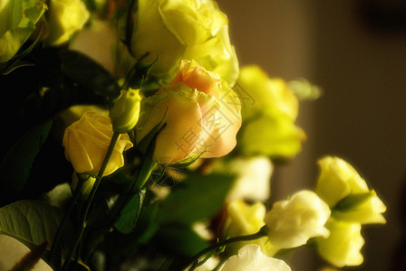 婚礼活动的黄色花束图片