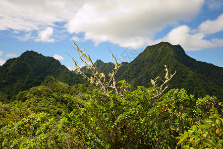 拉罗通加岛中部火山峰的景色很美由图片