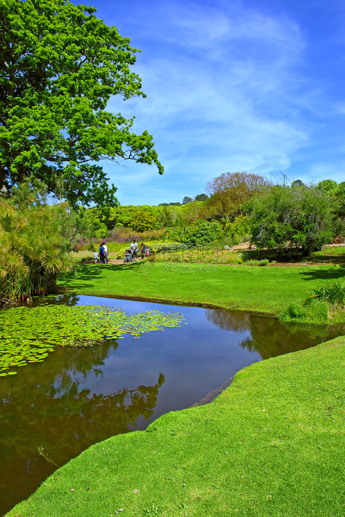 Zigzag湖和草地的构成在南非西开普市开普敦郊区Kirstenbosch图片