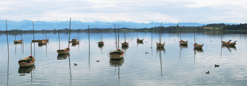 瑞士普法菲克湖背景图片