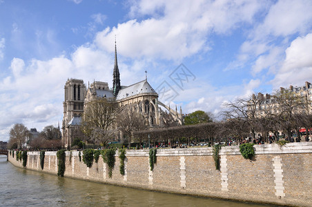 横跨塞纳河的巴黎圣母院图片