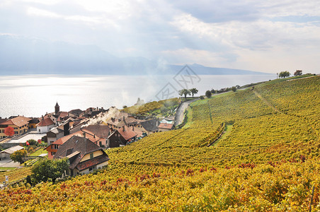 瑞士Lavau图片