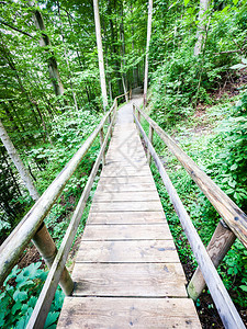 美丽的老木桥在森图片