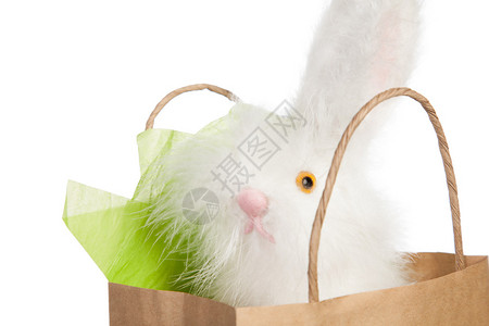 白毛色玩具复活节兔子从一个棕色纸包装商的礼物袋图片