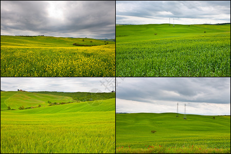 托斯卡纳的农舍和绿色倾斜的草地集图片