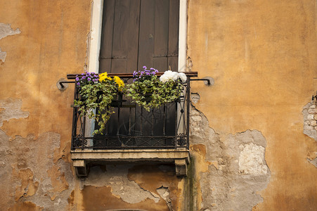 意大利威尼斯窗图片