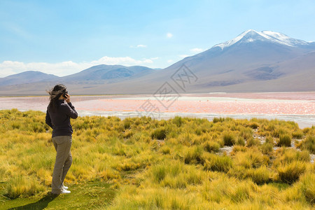 在玻利维亚科罗拉多州拉古纳海岸图片
