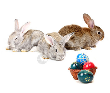 带着复活节彩蛋的小兔子背景图片