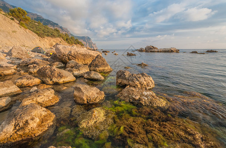 海岸和石头图片