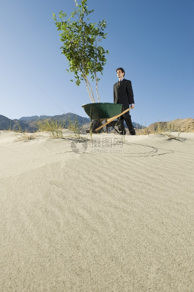 一位商人在沙漠中推手车和树图片