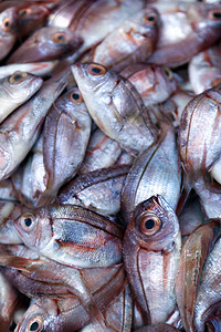 鲜鱼在市场上出售图片