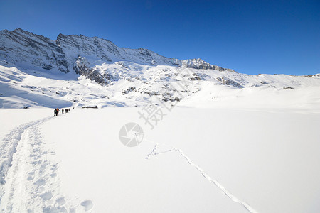 一群登山者通过在粉雪中滑雪游览上山徒步旅行图片