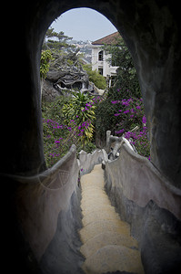 越南大叻的疯狂屋酒店图片