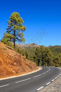 蜿蜒的山路特内里费岛的风景加那利群岛图片