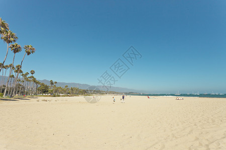 有棕榈树和蓝天空的白沙滩圣芭图片