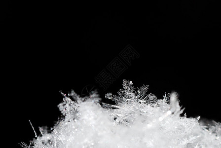 黑色背景雪地中的水晶花背景图片