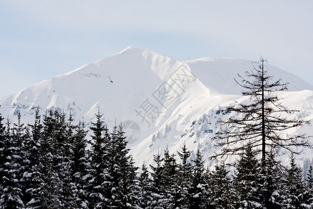 冬天的山景图片