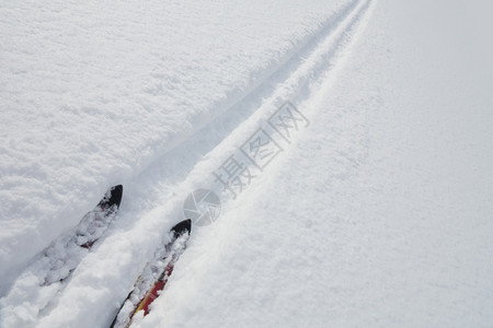 滑雪道上的滑雪板尖端图片