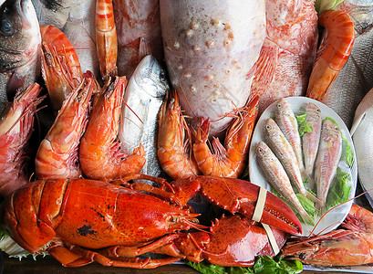 地中海鱼类市场提供的海图片