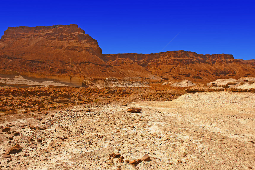 西岸朱迪亚沙漠中的峡谷图片