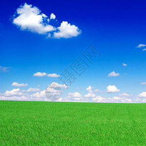 蓝天白云背景下的田野图片