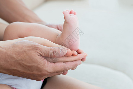 婴儿脚在家人的手中图片