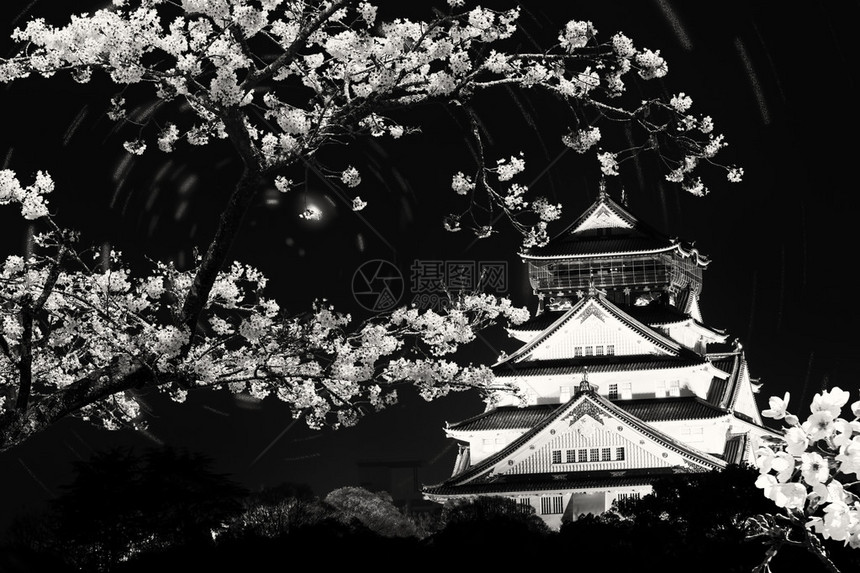 由樱花包围的大阪城堡用来做广图片