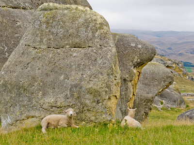 在新西兰南部岛屿大块花岗岩巨石的脚下图片