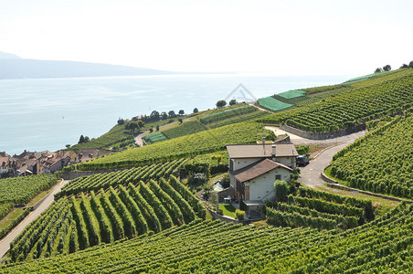 瑞士Lavau图片