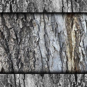 背景树皮墙木头墙石质结构图片
