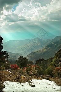 在云层天空和rhododendron森林的射线背景下图片